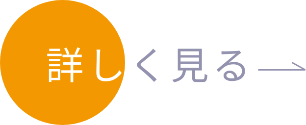 詳しく見る